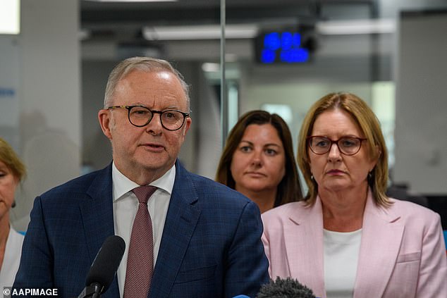 Anthony Albanese calificó a los liberales de “un desastre” después de que se intensificaran las especulaciones sobre el liderazgo de Susan Ley.