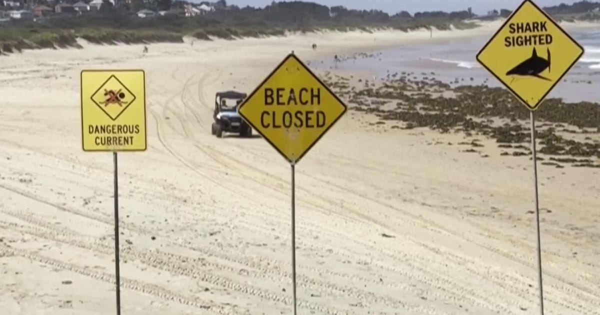 1768961612156_now_topstory_australia_shark_attack_260120_1920x1080-ezjb48.jpg