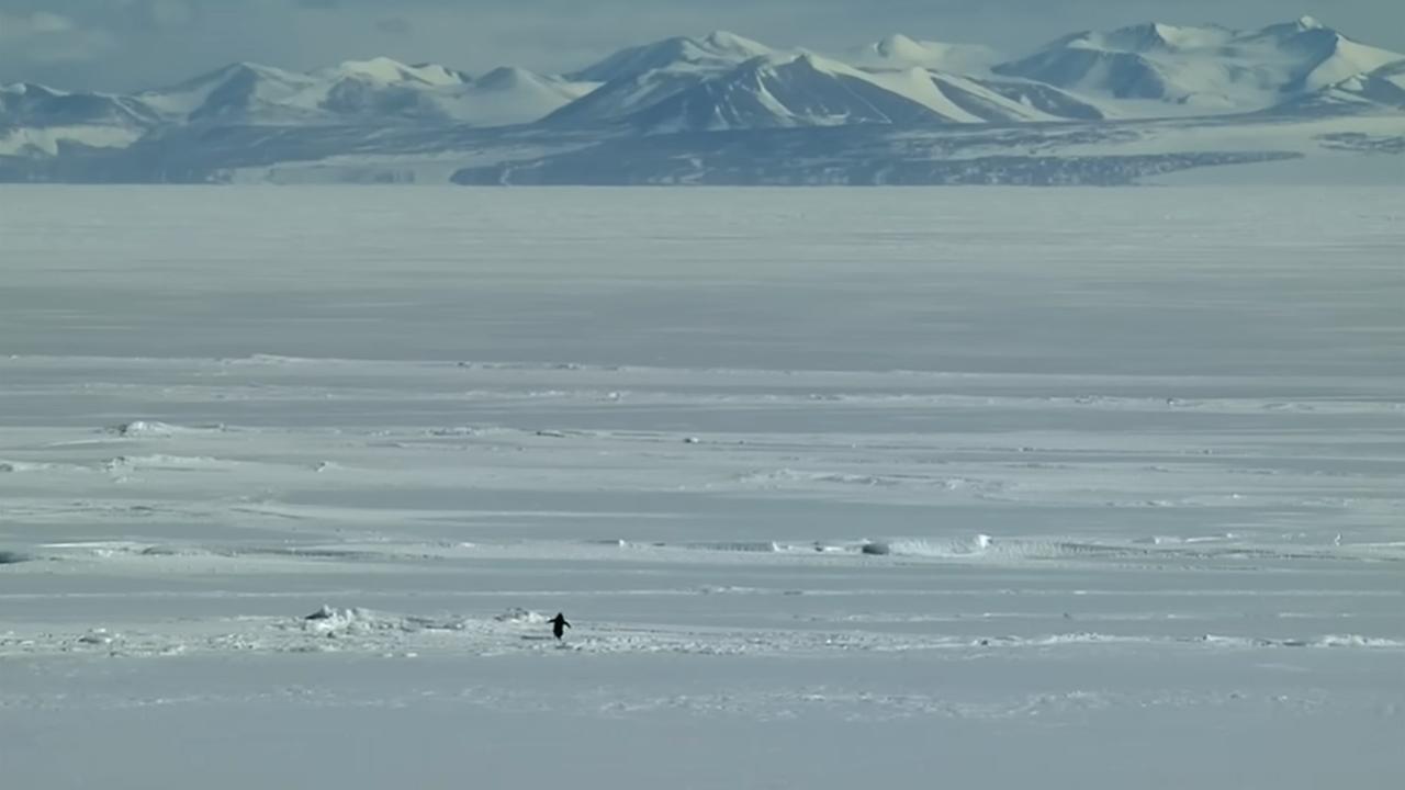 1769472635_0x0.jpg
