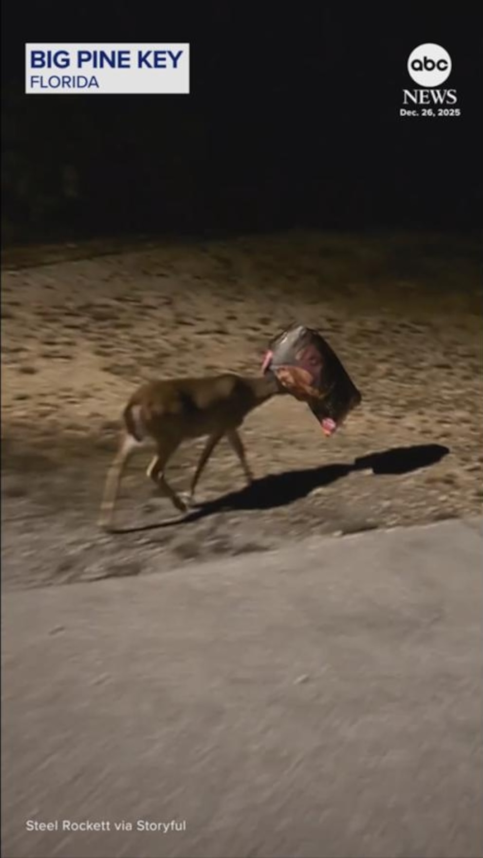 260106_abc_soc_deer1_hpMain_9x16.jpg