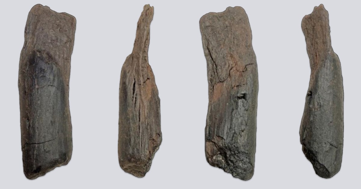 260127-oldest-wooden-tools-rs-45849e.jpg