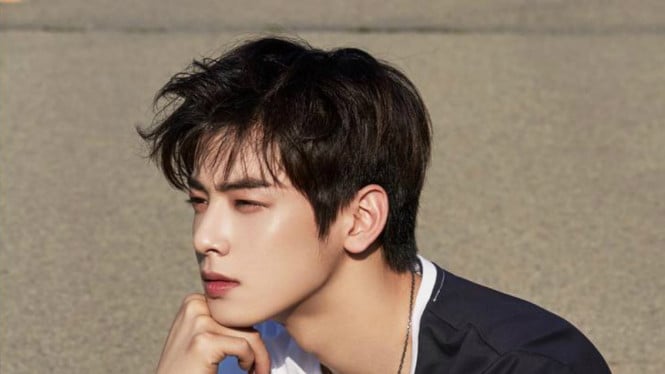 5bb585e40f6e2-cha-eun-woo_665_374.jpg