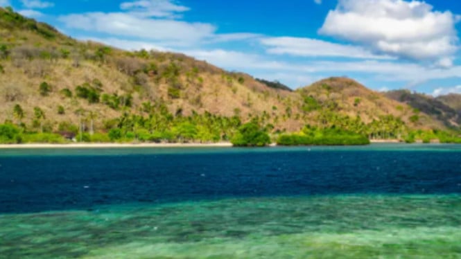 696278620f4d5-paket-wisata-komodo-island-trip-from-lombok-bersama-phinisea_665_374.png