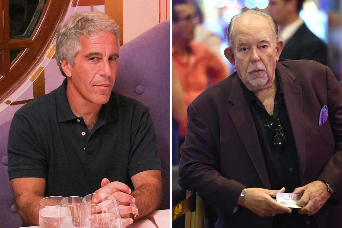 El volcado de archivos de Epstein revela que la estrella de ‘Estilos de vida de los ricos y famosos’ Robin Leach estranguló a una joven hasta matarla en una fiesta sexual.