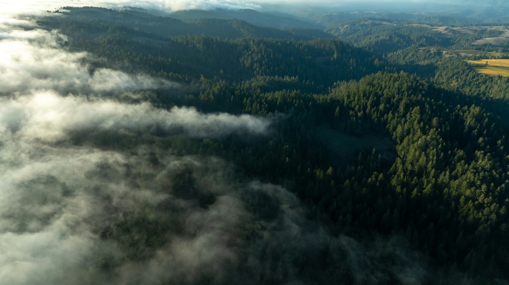 HRRR_Expansion_Coldwater_Collective_030.jpg