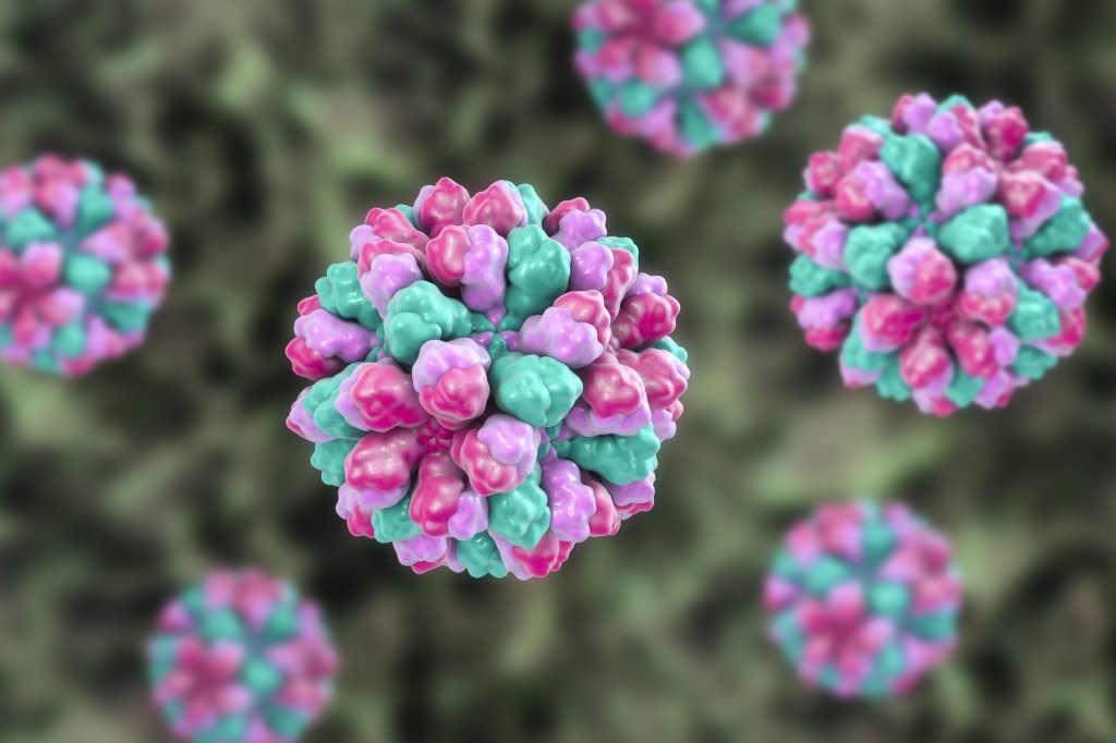 TNS__US-NEWS-MED-NOROVIRUS-FILEPIC-DMT.jpg