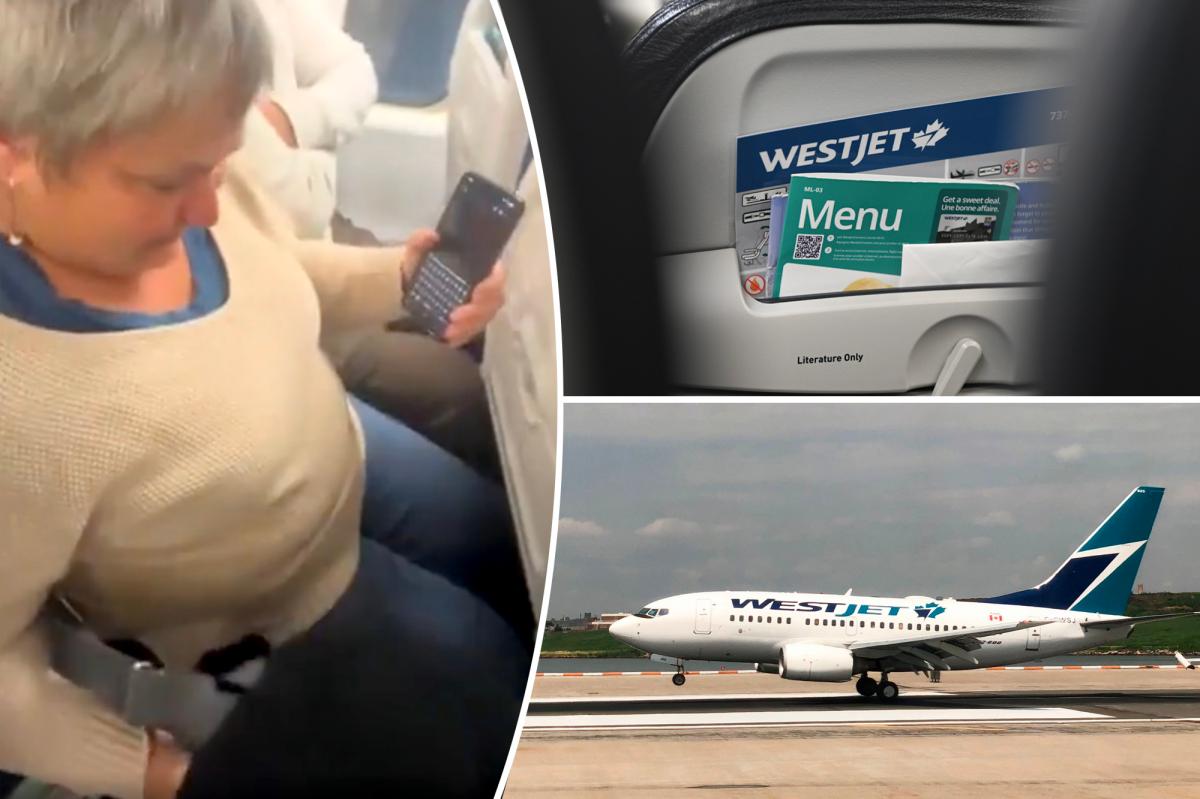 infuriated-westjet-passenger-shows-sardine-118330154.jpg