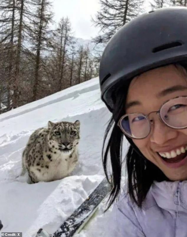 Segundos del desastre: una escalofriante fotografía muestra a una turista esquiadora tomándose una selfie con un raro leopardo de las nieves momentos antes de que le mutilaran la cara