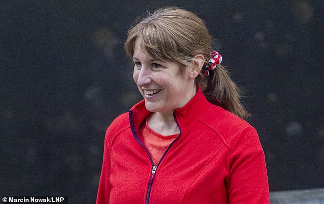 106215987-15541185-The_reports_represent_a_blow_to_Chancellor_Rachel_Reeves_s_claim-m-2_177059934871.jpeg