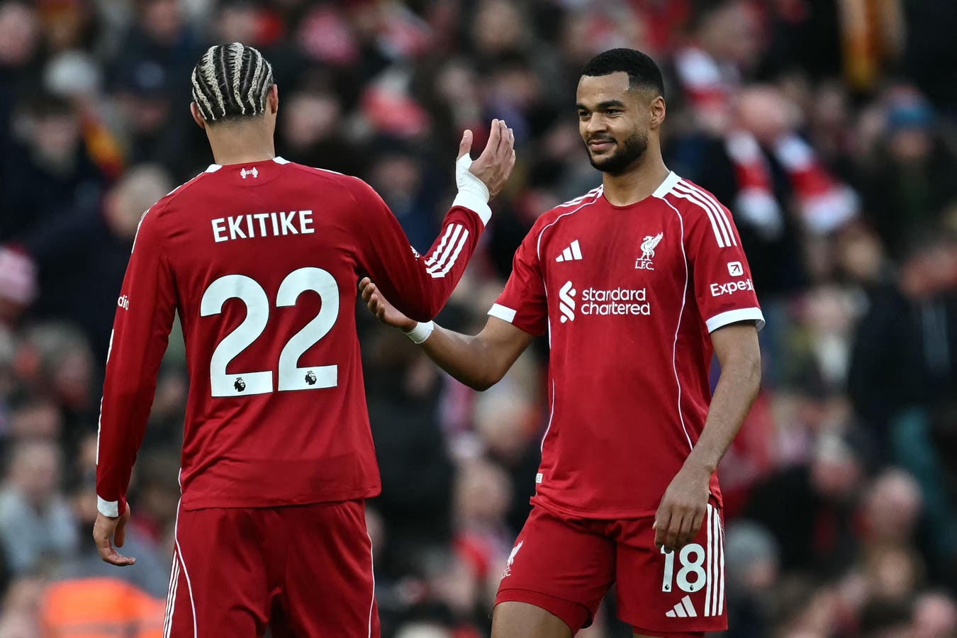 ¿Cody Gakpo está haciendo lo suficiente para ser un jugador clave para el Liverpool?