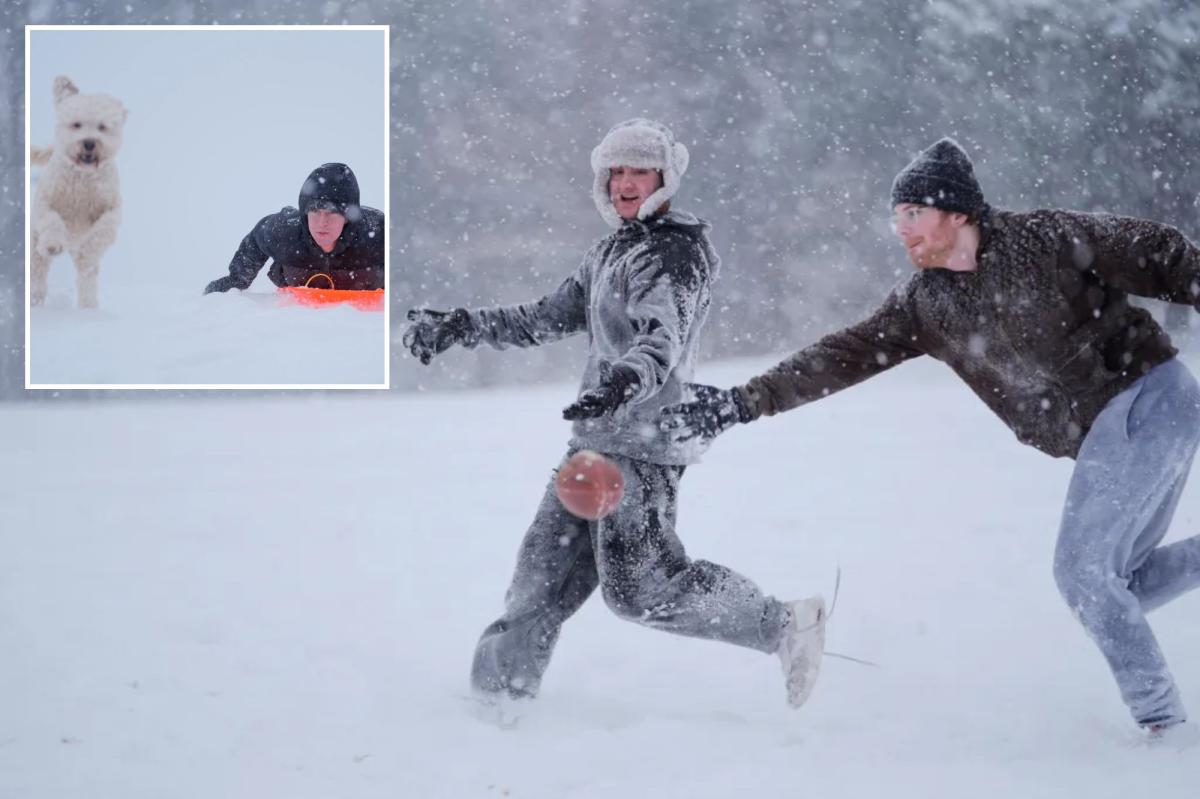 Una tormenta de nieve azota las Carolinas y Virginia con condiciones de tormenta de nieve