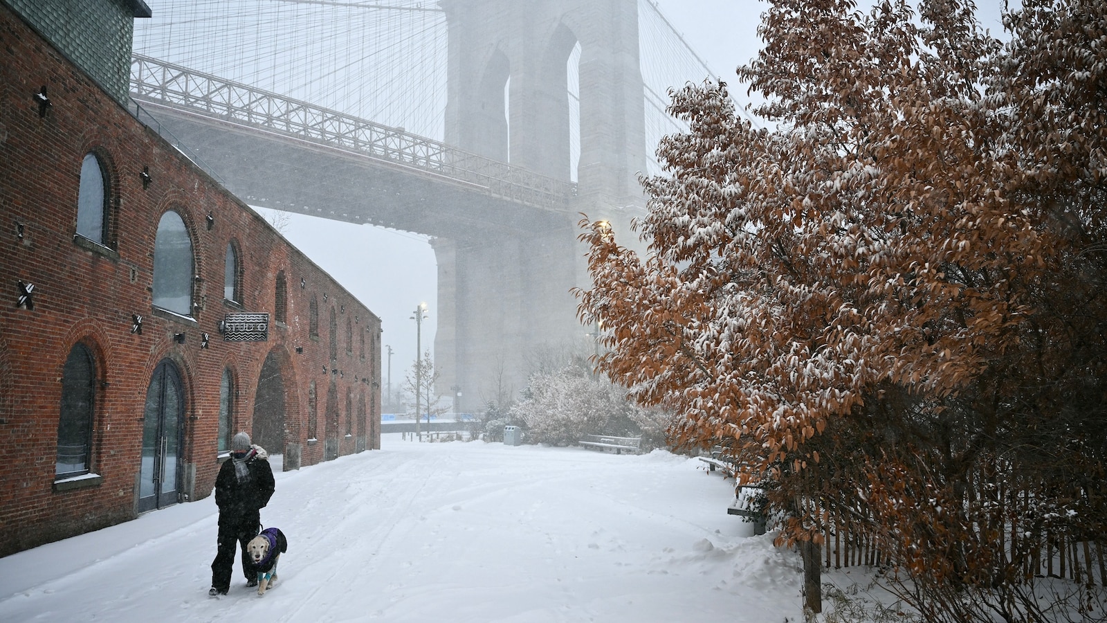 winter-storm-13-gty-gmh-260125_1769352128514_hpMain_16x9.jpg