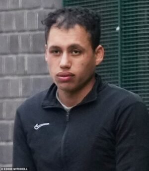 Los solicitantes de asilo “violaron en grupo a una mujer vulnerable en la playa mientras caminaba a casa después de la noche, incluida una terrible experiencia filmada”, dice la demanda.