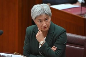 Cómo Penny Wong acaba de meter a Pauline Hansen en un gran problema, antes de que el líder de One Nation respondiera