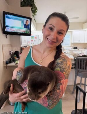 Mi madre fue asesinada y arrojada a una zanja de drenaje. Ahora estoy usando equipo de buceo -e incluso una nutria de rescate- en una misión para recuperar todos sus huesos.