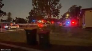 Una mujer de 31 años fue arrestada después de que un bebé de nueve meses fuera encontrado muerto en una casa de Elizabeth Downs con montones de desechos infantiles, incluido el orinal, delante.