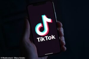 Niños de cinco años ‘transmiten en vivo pornografía para pedófilos en TikTok para financiar videojuegos’, advierte un experto de la policía