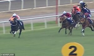 Caballo de carreras campeón asesinado e indignación por la comida servida involuntariamente en el comedor comunitario administrado por el consejo