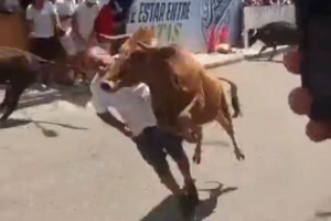 En un momento salvaje, un toro furioso ataca a los asistentes al festival con un cabezazo volador.