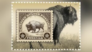 MIRAR: Un próximo sello postal de EE. UU. presenta un bisonte de Yellowstone