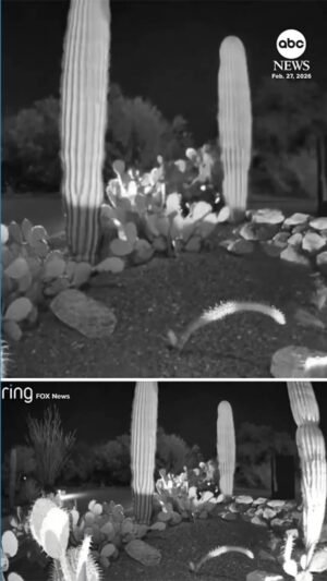 Vídeo Nuevo vídeo de un coche que aparece en la investigación de Nancy Guthrie