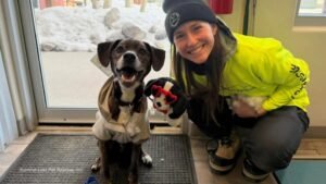 MIRAR: Familia de Colorado le dice a David Muir que se reúna con el perro desaparecido durante 43 días