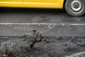 Seis mueren en incendio de autobús en Suiza tras informes de que una persona se prendió fuego