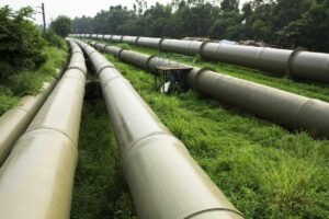 1 acción de dividendos de alto rendimiento para ingresos que continúa aumentando