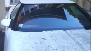 No sólo el cristal, sino también la carrocería del coche pueden enmohecerse.