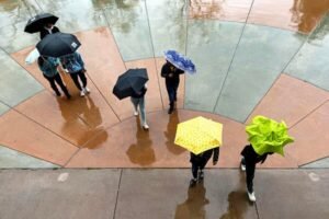 El mal tiempo nubla las decisiones sobre solicitudes universitarias