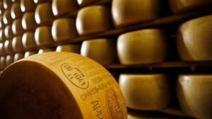 Los funcionarios sanitarios investigan el brote de E. coli relacionado con el queso crudo vendido en Florida