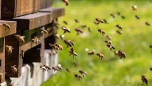 ‘Estaba… ardiendo hasta los cimientos’