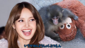 LISA DE BLACKPINK visita Monkey Punch y trae un animal de peluche de orangután