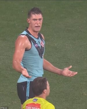 REVELADO: La teoría de la conspiración de los fanáticos del fútbol sobre el árbitro de la AFL acusado de llamar a Star tramposo