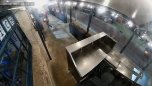 Momento en que un activista por los derechos de los animales ‘libera’ langosta viva de un restaurante y la libera en el puerto, creyendo falsamente que se la comerán