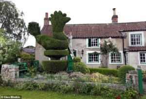 ¡No puede hablar en serio! El seto de gallos, símbolo del pueblo desde hace 110 años, ha sido derribado y sustituido por una gárgola