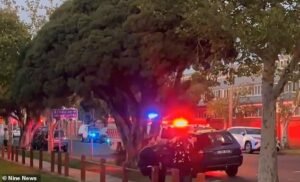 Un muerto y otro gravemente herido después de que un automóvil atropellara a un grupo de fanáticos afuera del popular evento Comic Con en Melbourne.