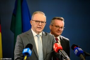 Anthony Albanese anunció que próximamente llegarán a Australia cuatro cargamentos con 200 millones de litros de diésel.