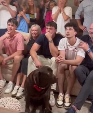 El perro del prospecto del Draft de la NFL Oscar Delp se roba la atención en celebraciones salvajes después de ser seleccionado por los New Orleans Saints