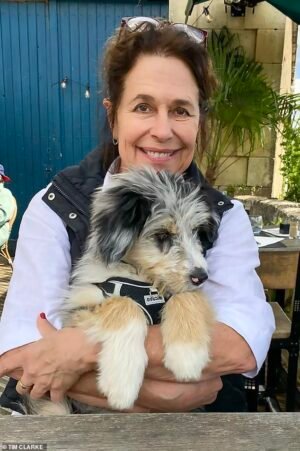 Asesinato en Dordoña: Un año después, los detectives están más convencidos que nunca de que los “celos sexuales” son clave para resolver el asesinato de una madre británica de cuatro hijos en la campiña francesa.