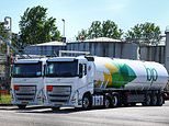El petróleo supera los 125 dólares por barril después de la invasión de Ucrania, mientras ‘Trump planea más ataques contra Irán’ – Actualizaciones en vivo