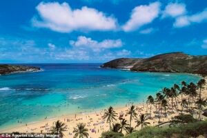 Una mujer de 66 años del Área de la Bahía muere mientras practicaba snorkel durante un viaje a la isla paradisíaca de Hawaii