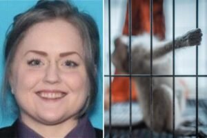 Amanda Leigh Faurez, mujer de Illinois, se declara culpable de pagar por videos de magia con monos