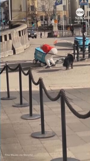 MIRAR: Los robots de reparto en dificultades reciben el impulso de humanos serviciales en Finlandia