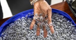 Un tribunal de Kenia condena a un ciudadano chino a prisión por un caso de contrabando de hormigas