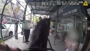MIRA: Un oficial de policía de Nueva York persigue a un sospechoso a caballo por Manhattan
