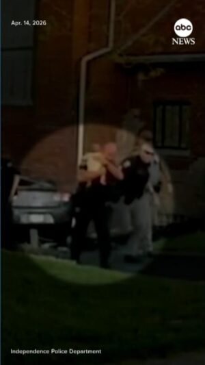 MIRA: Bebés rescatados en presunto intento de secuestro