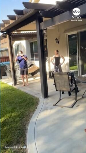 MIRAR: Un globo aerostático aterriza por sorpresa en un patio trasero del sur de California