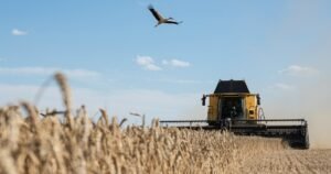 Un cargamento de cereales ‘robados’ ha provocado un amargo conflicto entre Ucrania e Israel