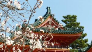 Con los efectos de la guerra de Irán cada vez más sentidos, la industria turística japonesa perdió miles de turistas europeos.